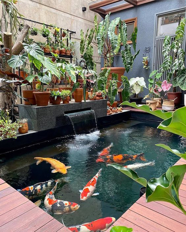 Thi công hồ cá koi Đắk Lắk đẹp bền chuẩn phong thủy