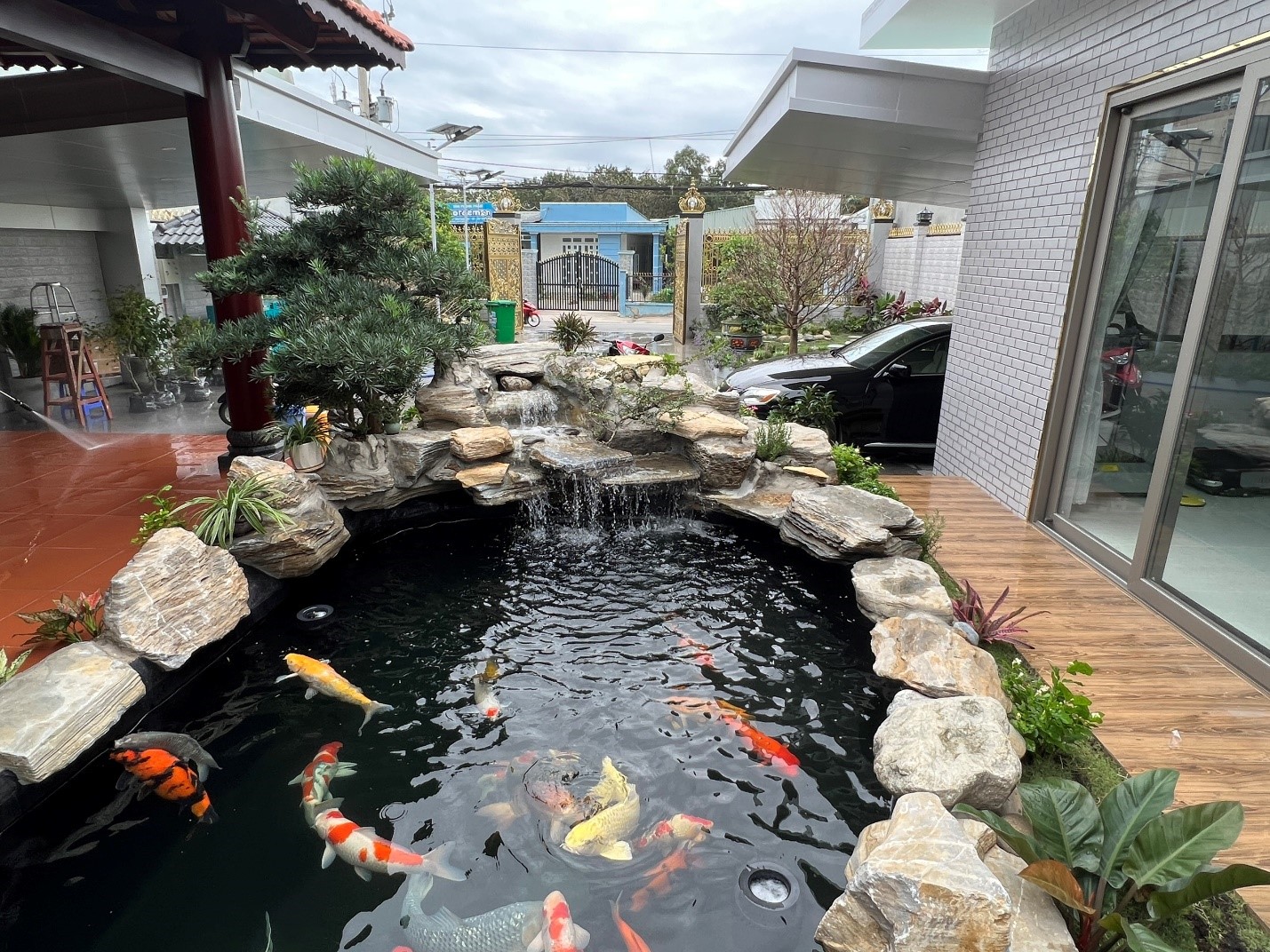 Thi công hồ cá koi Gia Lai - Mang vẻ đẹp tự nhiên và phong thủy vào không gian sống của bạn
