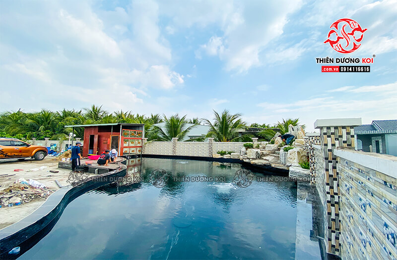 Thi công hồ cá koi Tiền Giang - Đẹp bền chuẩn phong thủy
