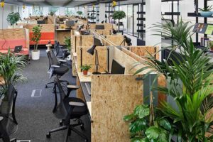 cửa hàng cung cấp cây cảnh văn phòng tphcm